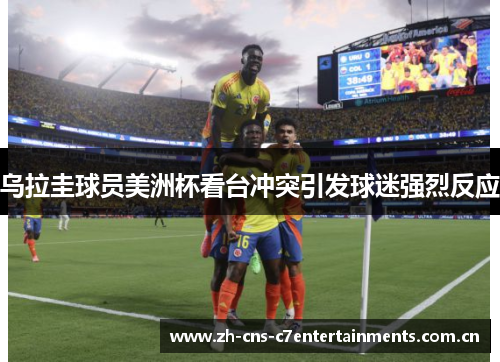 乌拉圭球员美洲杯看台冲突引发球迷强烈反应